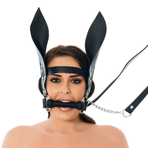 Horsebit Mouth Gag With Reins And Ears